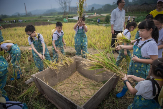 27162cb6-85ce-49f0-b2a0-b3ba50a1c3e1 27162cb6-85ce-49f0-b2a0-b3ba50a1c3e1