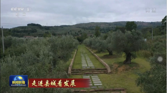 4f267924-9cb7-479d-a5d2-8bf10f95fe10 4f267924-9cb7-479d-a5d2-8bf10f95fe10