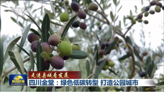 9ec5051a-07cc-4039-85b0-017f6cbe93ee 9ec5051a-07cc-4039-85b0-017f6cbe93ee