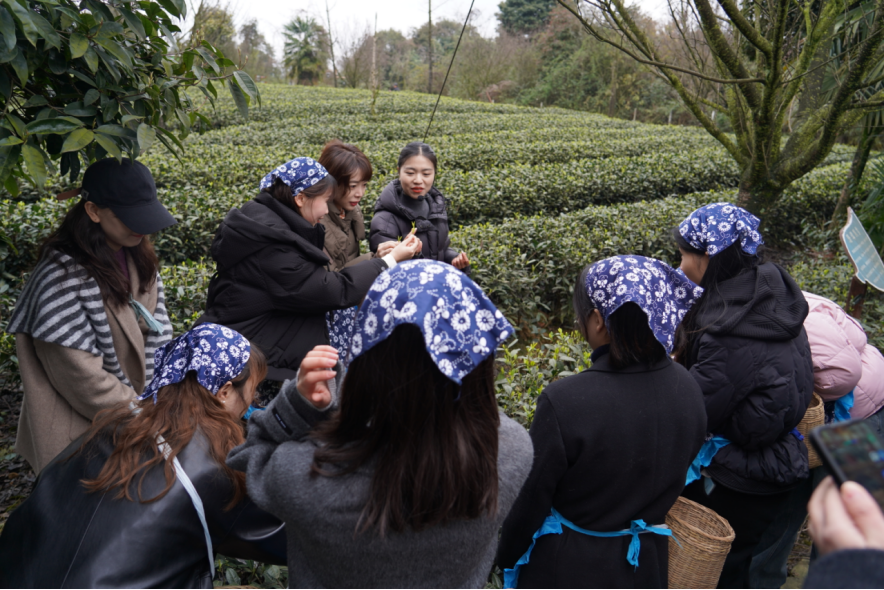 ʡϵľ8814vipҵ֯չˡͶŮ