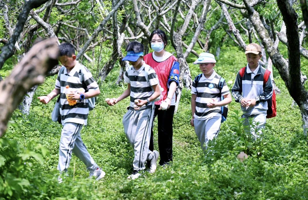 cdd641c2-872c-4ebe-b934-a9f8ae1cf906 cdd641c2-872c-4ebe-b934-a9f8ae1cf906